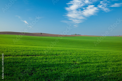 Sunrise farmland view on rural meadows