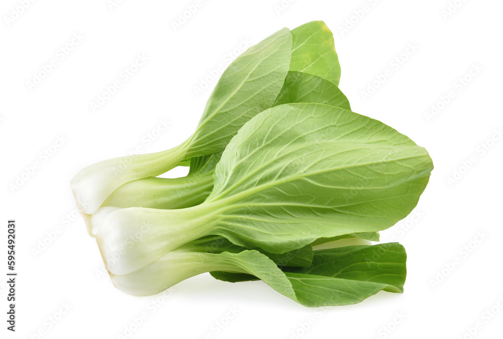 Bok choy vegetable on white background Bok choy vegetable on white background