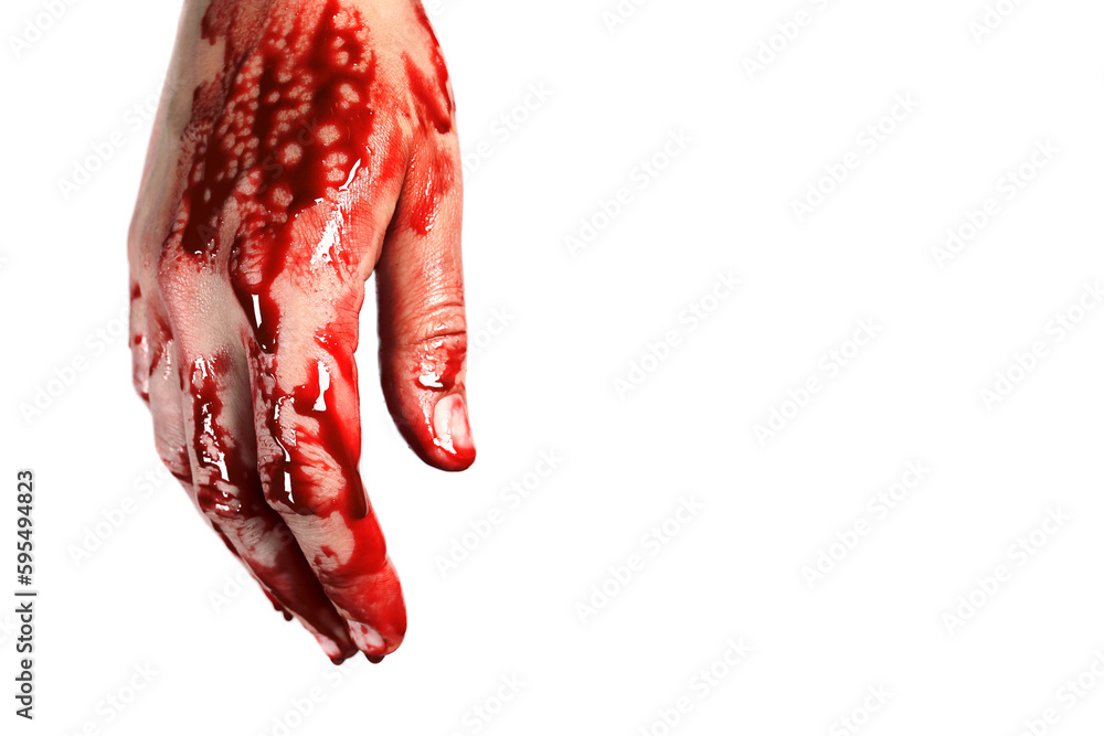 bloody hand isolated on a white, concept of murder, violence, halloween - obrazy, fototapety, plakaty 