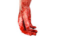 bloody hand isolated on a white, concept of murder, violence, halloween