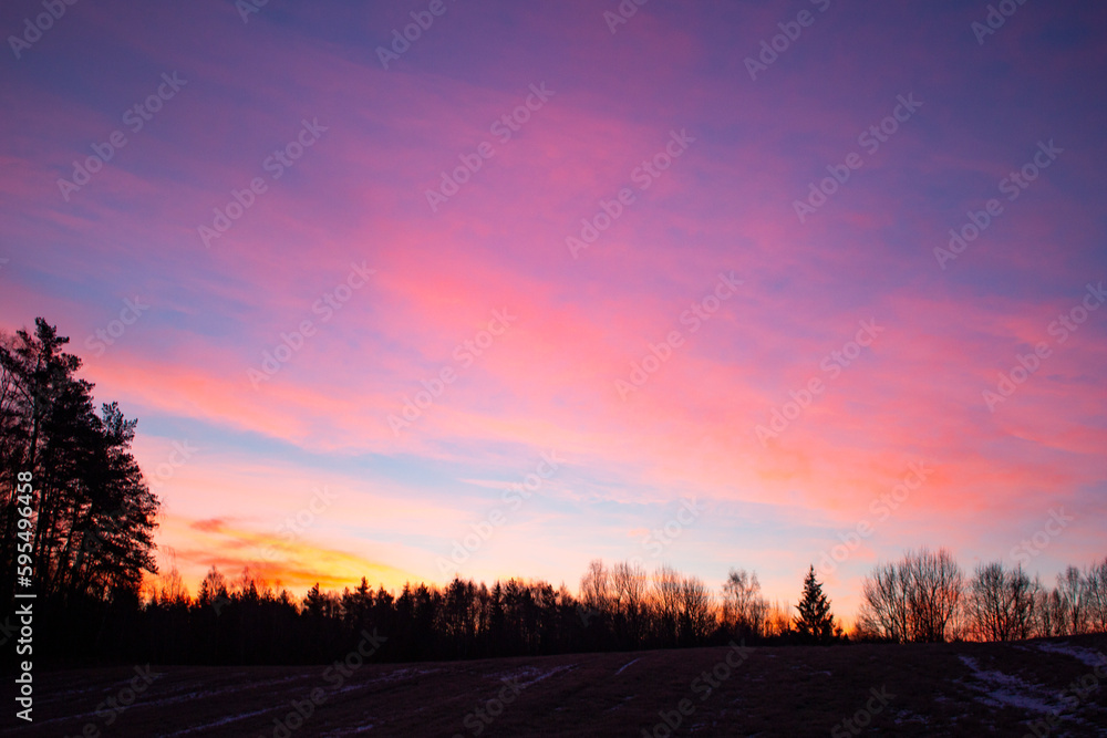 Bright pinkish sky at dusk time with a forest in the background