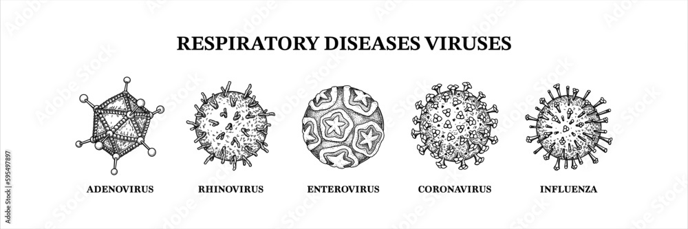 Respiratory diseases viruses. Hand drawn set of microorganisms. Scientific vector illustration in sketch style Respiratory diseases viruses. Hand drawn set of microorganisms. Scientific vector illustration in sketch style
