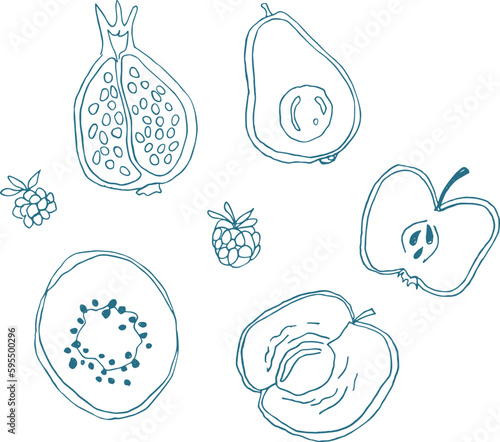 seamless editable hand drawn vector fruit set. pomegranate, avocado, apple, raspberry, blackberry, peach and kiwi