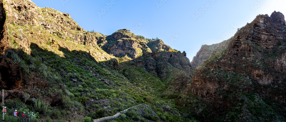 Obraz premium Hike through the tranquil and lush green nature along the cliffs of the Barranco del infierno ravine, Hell's gorge, in Adeje Tenerife with this panoramic view of tourists discovering the idyllic path.