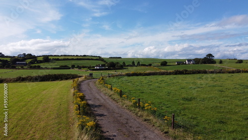 A road between fields. Blue sky over grass fields. Irish summer landscape. Green grass field under blue sky