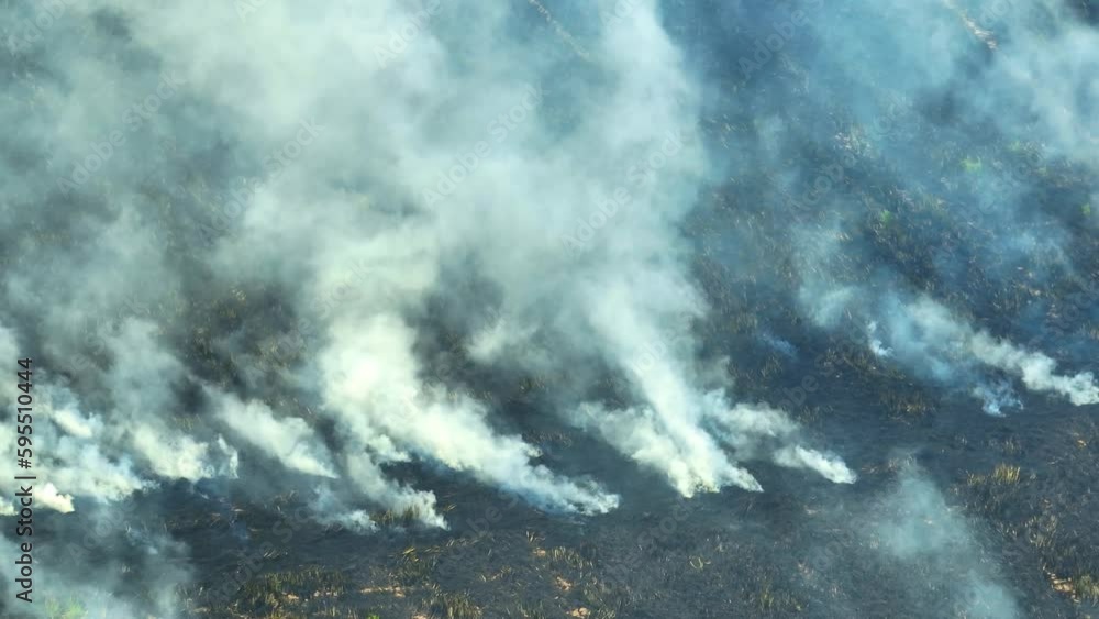 The particulate matter from agricultural fires can contribute to the formation of smog, which can further worsen air quality. Smog is created when pollutants react with sunlight and heat. Thailand The particulate matter from agricultural fires can contribute to the formation of smog, which can further worsen air quality. Smog is created when pollutants react with sunlight and heat. Thailand