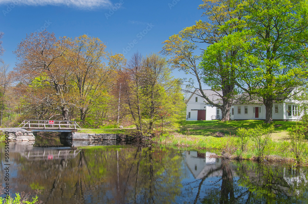 new england home and pond landscape springtime