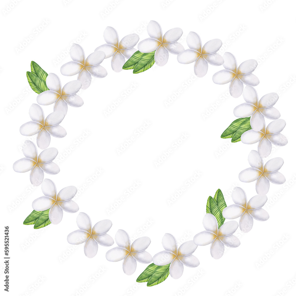Round frame frangipani watercolor illustration. Hand drawn isolated on white background. Ideal for fabric, textile, wallpaper, spa, logos.