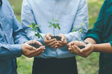 Environmental cooperation. Unity of businesspeople and community together plant trees for sustainable development goals. Future environmental conservation and sustainable ESG modernization development