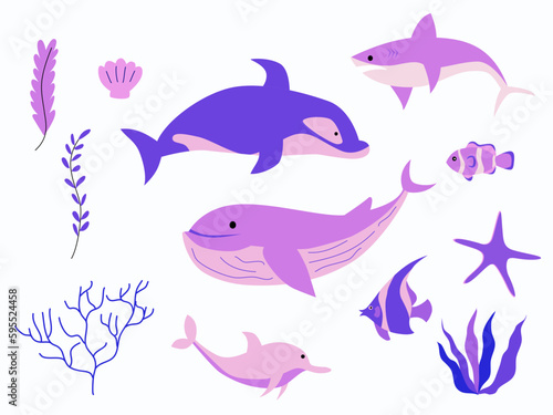 sea life  plants  vector and illustration