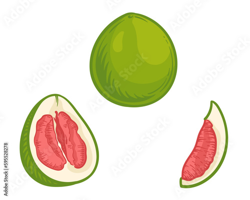 Green pomelo fruit in cartoon style. Vector illustration of fruits isolated on a white background. A whole fruit, a slice, and half a pomelo.