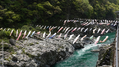吉野川に架かる鯉のぼり【徳島県三好市大歩危】　4