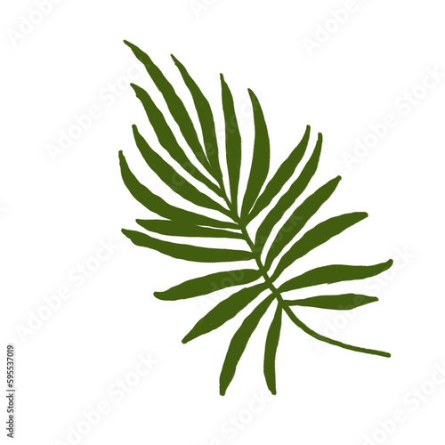 Tropical green leaf clipart, png isolated on transparent background. Wedding illustration png file, jungle green leaf pencil drawing. Design for birthday invitation, wedding and greeting cards 