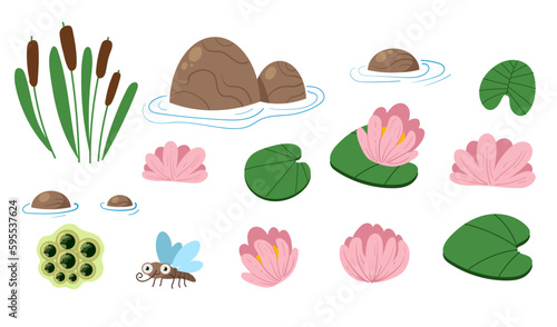 Plant lotus grass swamp water lake design element set. Vector graphic design illustration 