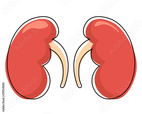 A cartoon of a pair of kidneys
