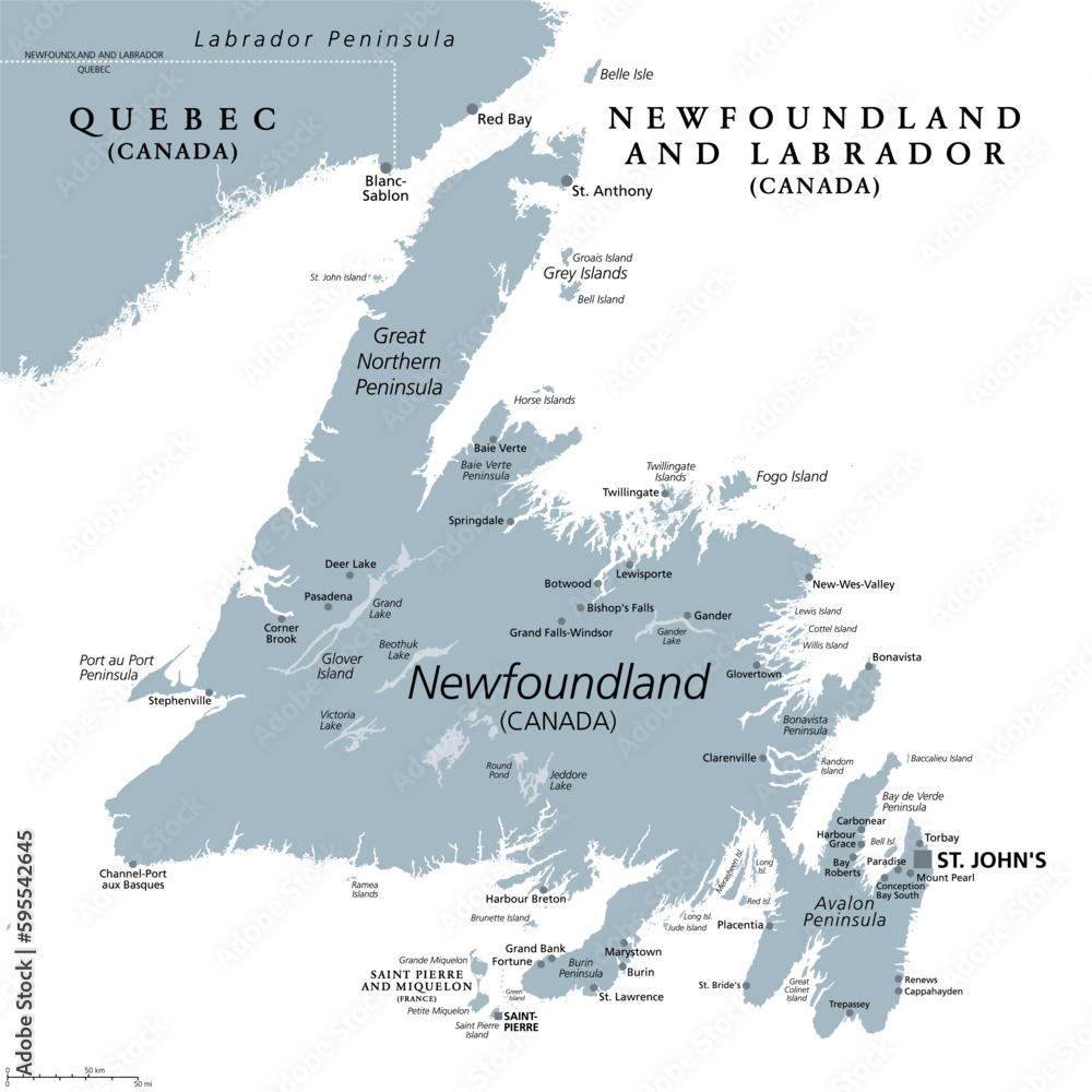 Island of Newfoundland, gray political map. Part of Canadian province