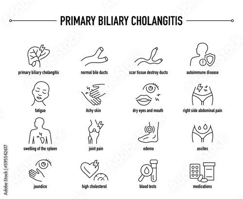 Primary Biliary Cholangitis symptoms, diagnostic and treatment vector icon set. Line editable medical icons. photo