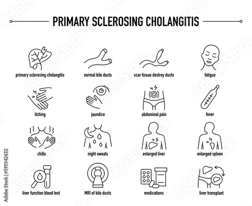 Primary Sclerosing Cholangitis symptoms, diagnostic and treatment vector icon set. Line editable medical icons.