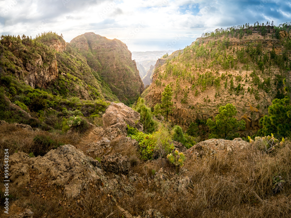 View from above into Barranco del Infierno ravine, Hell's gorge, leading to the Adeje ocean coast on Tenerife, perfect for thrill-seekers to discover the geologic wonders of this mysterious terrain.