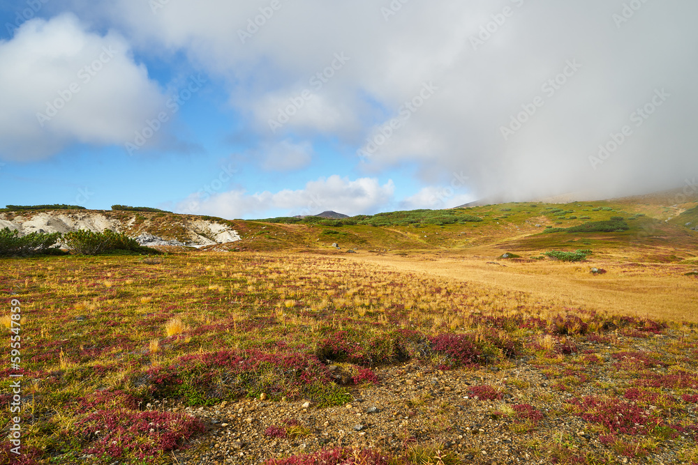 Fototapeta premium 北海道 旭岳の紅葉 