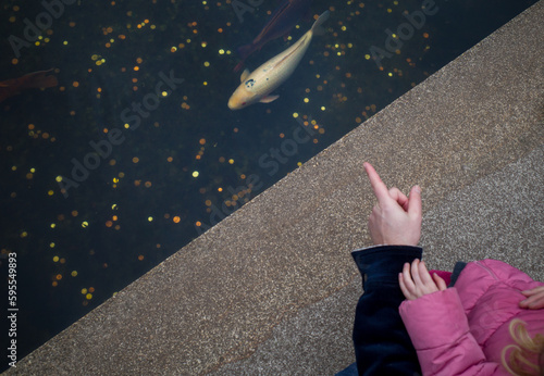 A man and a kid looking at goldfish in a pond