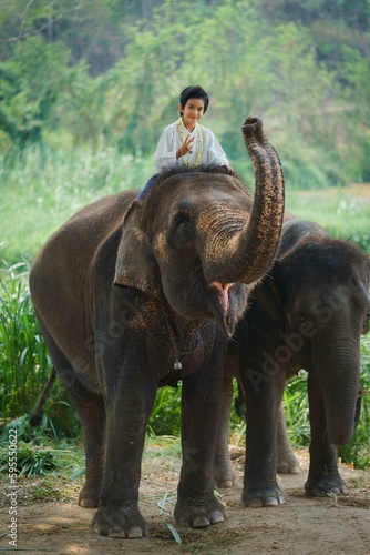 Asian travel boy riding on elephants standing in the natural forest at The Thai Elephant Conservation Center is the popular travel destination attraction of Lampang  Northern Thailand.