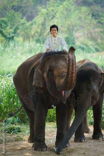 Photography Asian travel boy riding on elephants standing in the natural forest at The Thai Elephant Conservation Center is the popular travel destination attraction of Lampang ,Northern Thailand