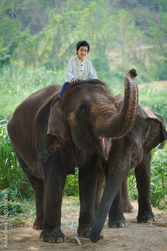 Asian travel boy riding on elephants standing in the natural forest at The Thai Elephant Conservation Center is the popular travel destination attraction of Lampang ,Northern Thailand.