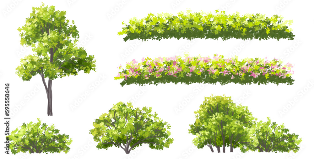 Vector watercolor blooming flower tree side view isolated for landscape and architecture drawing, elements for environment and garden,botanical elements for section in spring