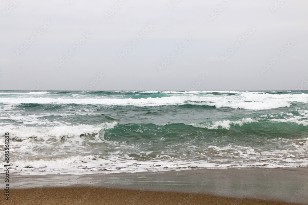 日本海