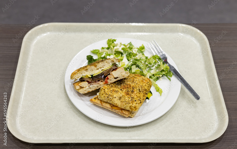 Tofu sandwich avec légumes grillés et salade verte sur plateau gris pâle Tofu sandwich avec légumes grillés et salade verte sur plateau gris pâle