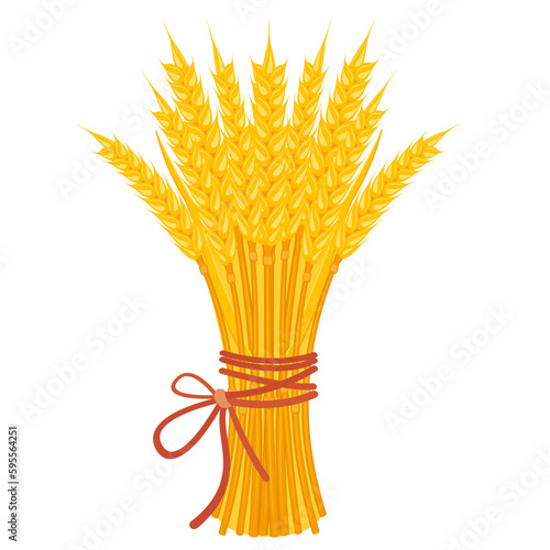 Sheaf of wheat with ribbon. Bouquet of yellow ears on white. Harvest of grain crops. Bundle of dry straw. Vector illustration of flour and pasta packaging decoration