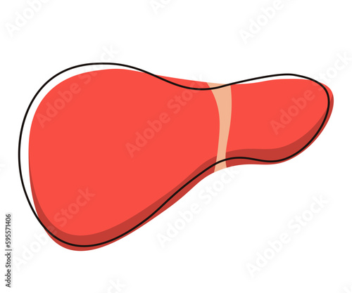 A cartoon of a liver with a red liquid on a white background.