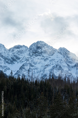 Tatra Mountain landscape. Winter in Polish mountain. Snowy peak view © daily_creativity
