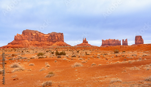 View of Monument Valley from Forrest rom US-163 road. Oljato-Monument Valley, Utah, United States. © Poliuszko
