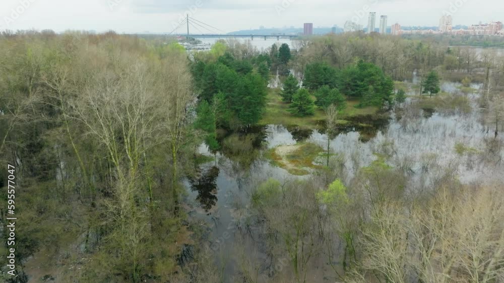 River lake swamp water forest spring nature park tree green
