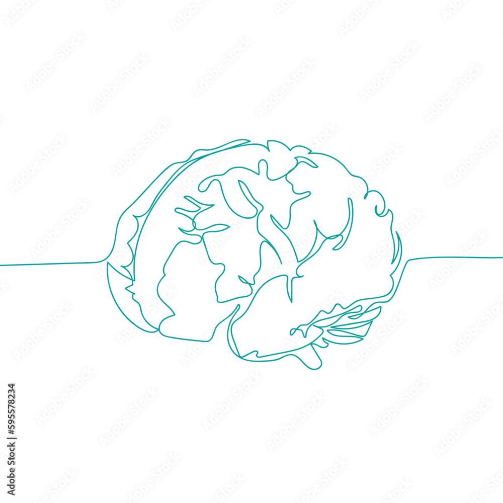 Continuous line drawing of a brain. Vector illustration isolated on ...