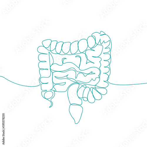  Continuous line drawing of a healthy human intestine  . Vector illustration isolated on white background.