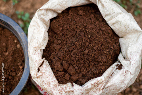 Marijuana, Marijuana cultivation, soil cultivation, seedling process medical marijuana agricultural technology