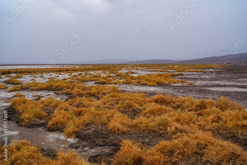Scenic view of rough surface of rock salt blocks at Devil's Golf Course, Death Valley National Park, California, USA. Remote salt desert extreme terrain landscape on an overcast rainy day in summer