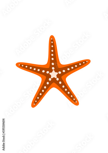 Star Fish