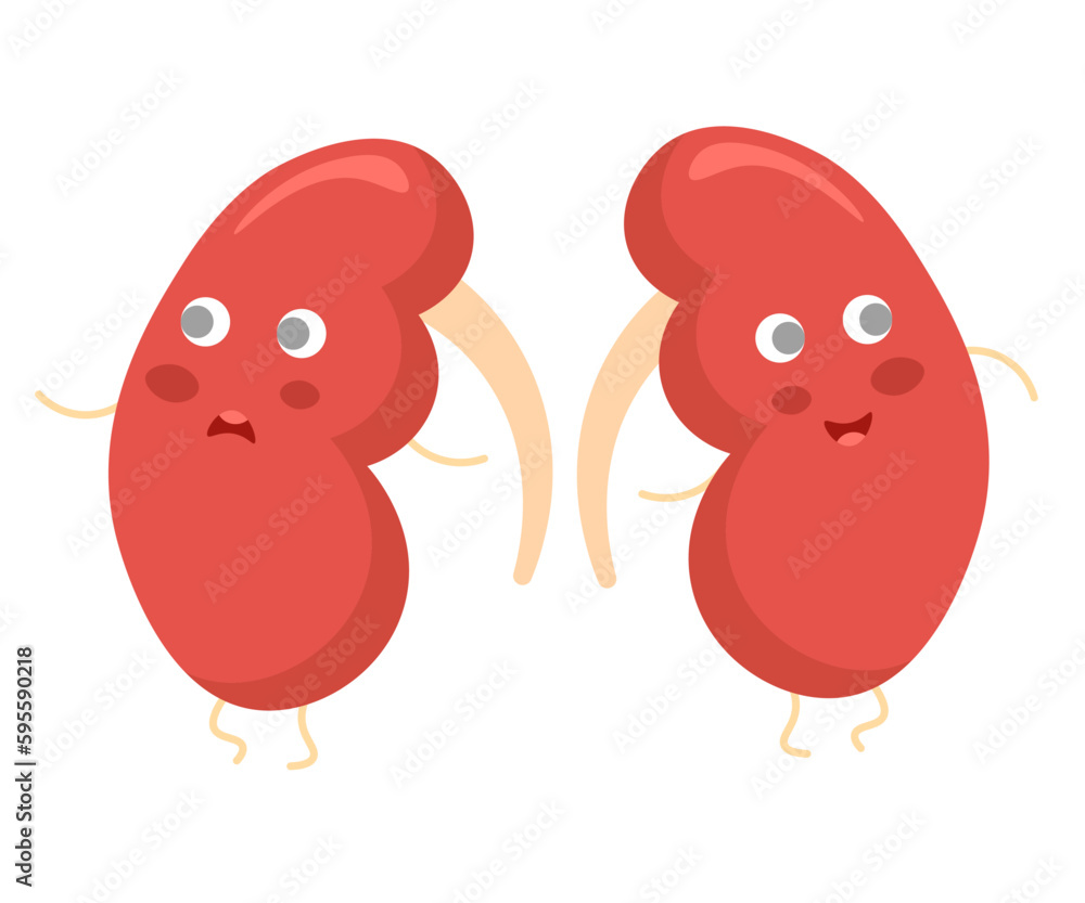Two funny cartoon kidneys with eyes, arms and legs. One is sad and the other is happy. Two funny cartoon kidneys with eyes, arms and legs. One is sad and the other is happy.