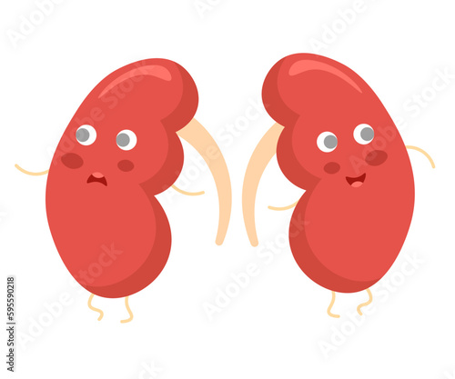 Two funny cartoon kidneys with eyes, arms and legs. One is sad and the other is happy.