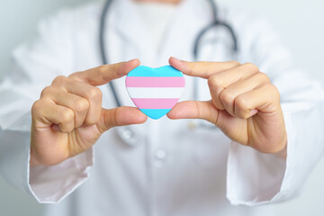 Transgender Day and LGBT pride month,  LGBTQ+ or LGBTQIA+ concept. Doctor holding blue, pink and white heart shape for Lesbian, Gay, Bisexual, Transgender, Queer and Pansexual community