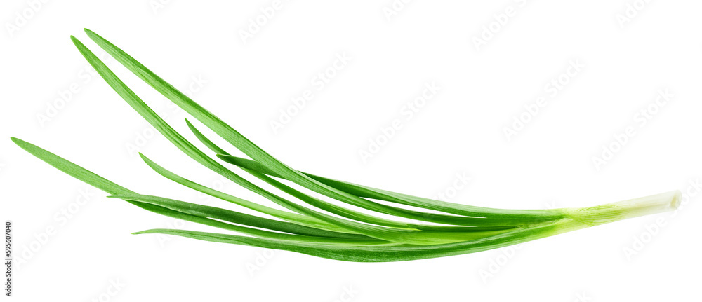 Green onion isolated on the white background, full depth of field Green onion isolated on the white background, full depth of field