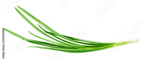 Green onion isolated on the white background, full depth of field