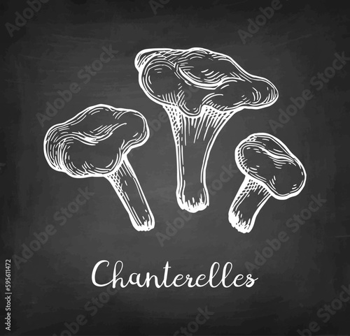Chanterelles mushroom chalk sketch.