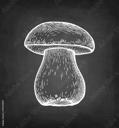 Penny bun mushroom chalk sketch.