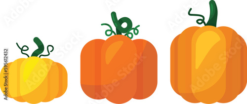 Pumpkin Vectors