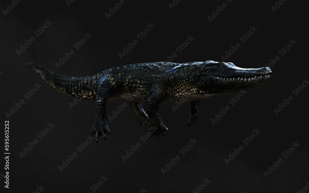 3D Illustration of american alligator isolated on dark background with clipping path, American crocodile. 3D Illustration of american alligator isolated on dark background with clipping path, American crocodile.